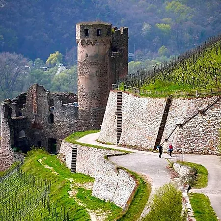 Zum Baeren 4* Ruedesheim am Rhein