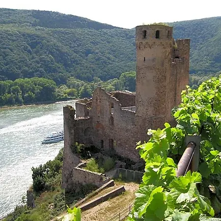 Zum Baeren Ruedesheim am Rhein