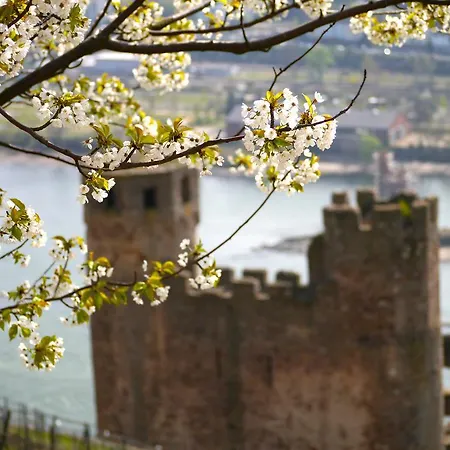 Hotel Zum Baeren Rüdesheim am Rhein