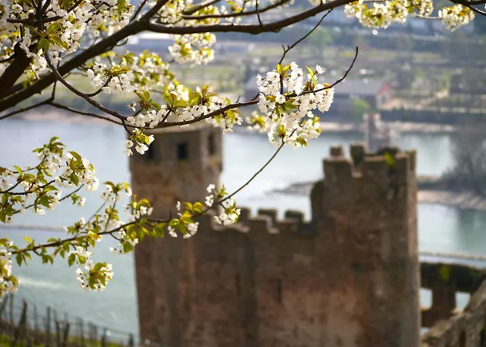 Hotel Zum Baeren Rüdesheim am Rhein